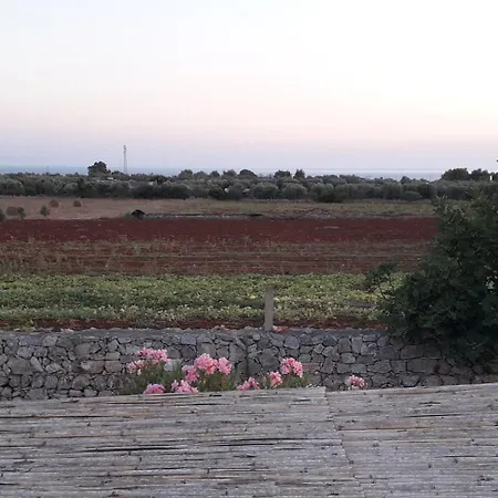 Liama Macchia Degli Specolizzi Holiday home *
